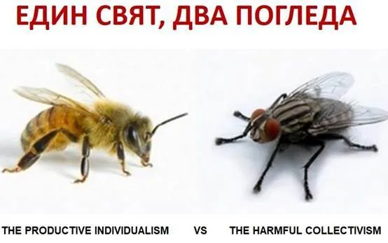 http://www.robzor.com/rhouse/zarazninormipravila123_files/image014.webp